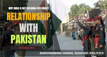 India-Pakistan: The Complexities of Diplomatic Ties