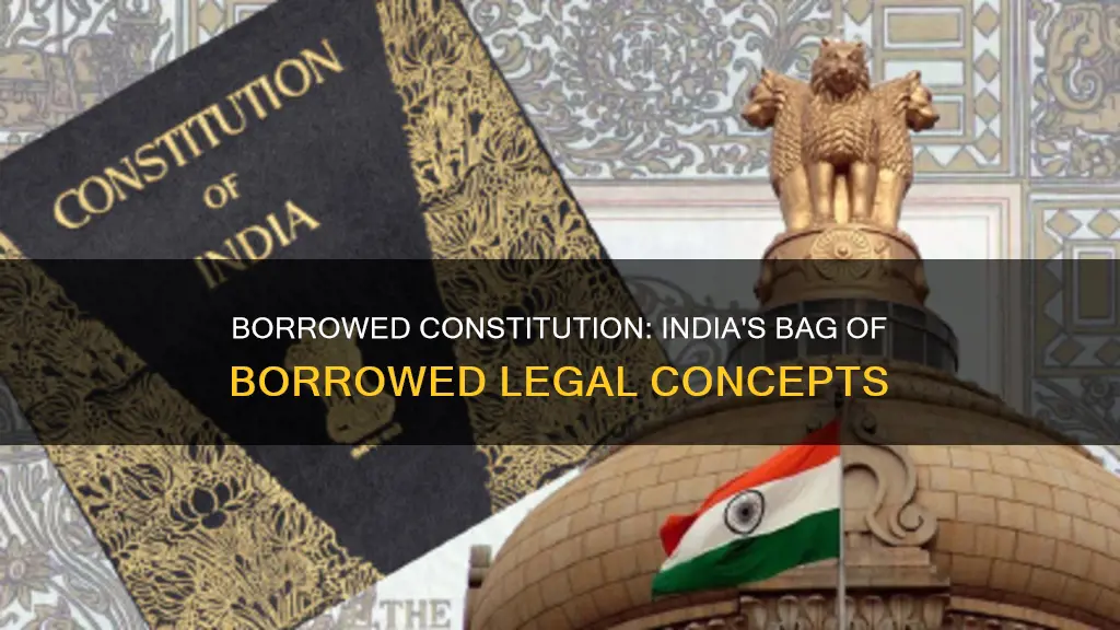 why indian constitution is called bag of borrowing