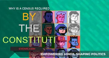 The Constitution: Census, a Requirement for Representation