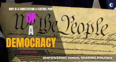 Constitution: Democracy's Central Pillar
