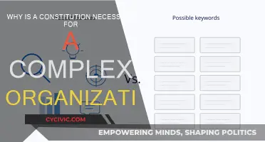A Constitution: Complex Organization's Foundation
