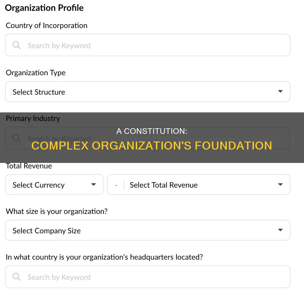 why is a constitution necessary for a complex organization