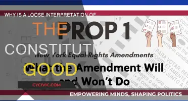 Loose Constitution Interpretation: A Flexible Future?