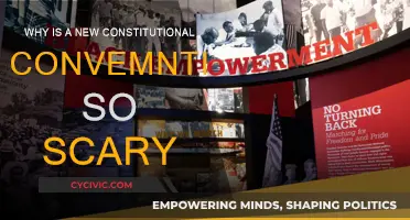 A Constitutional Convention: The Fear of Change