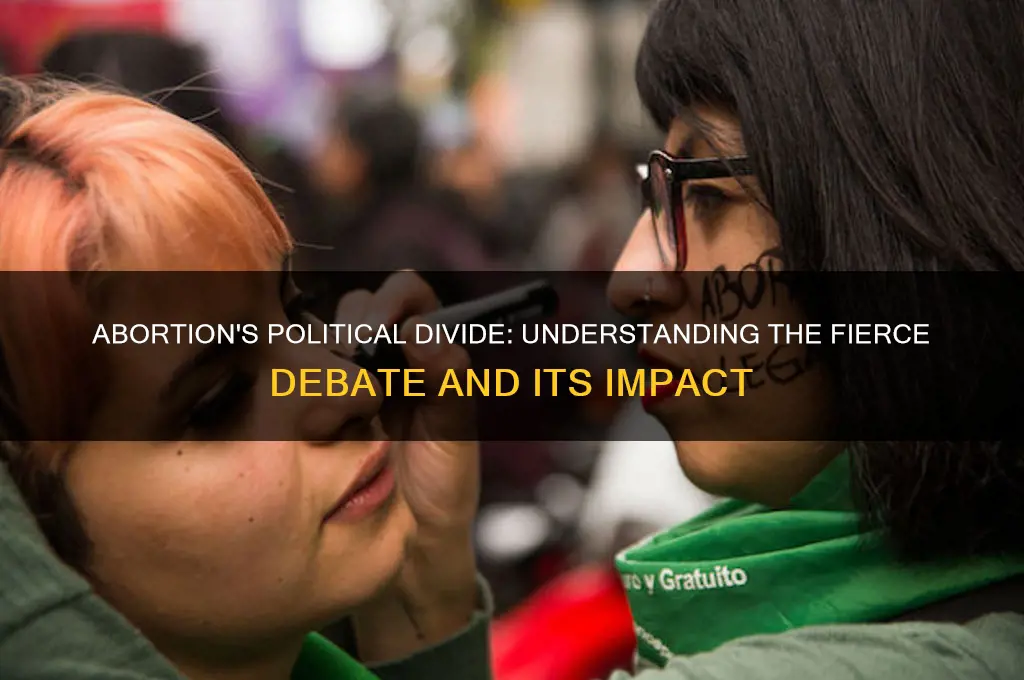 why is abortion a political