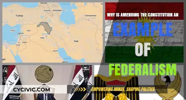 Federalism's Flex: Amending the Constitution