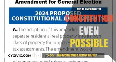 The Constitution: Ever-Changing, Ever-Lasting