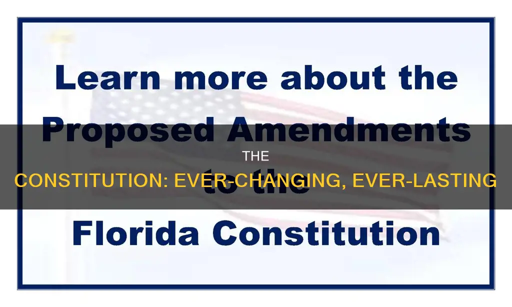 why is amending the constitution even possible