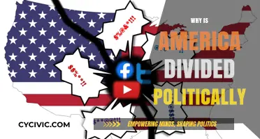 America's Political Divide: Unraveling the Roots of a Fractured Nation