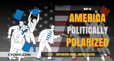 Divided States: Unraveling the Roots of America's Political Polarization
