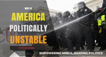 America's Political Turmoil: Unraveling the Roots of Instability