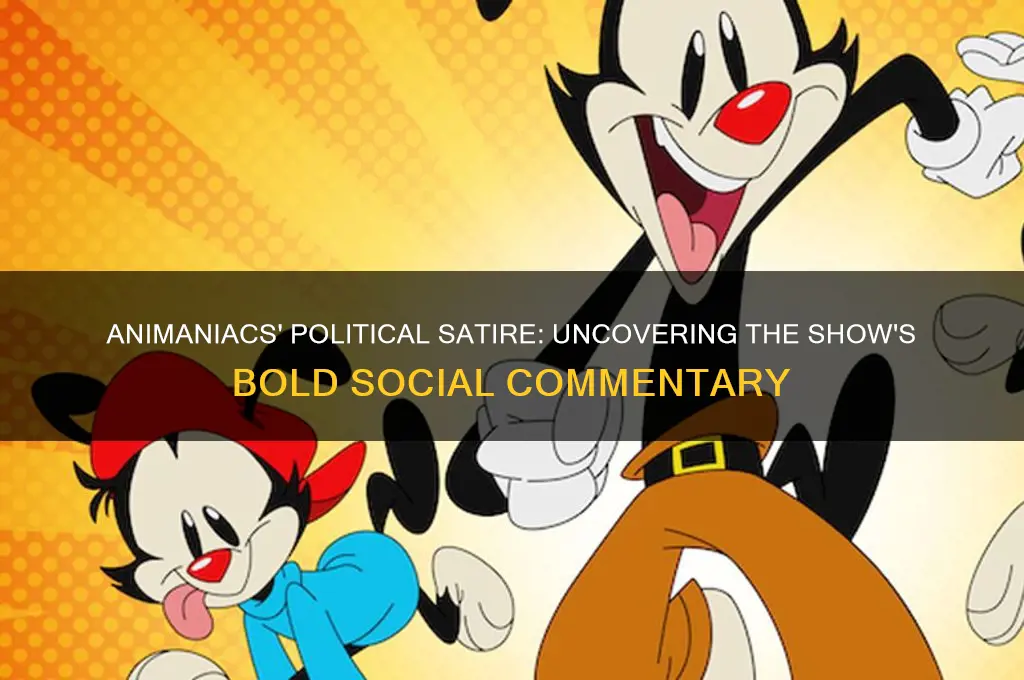 why is animaniacs so political