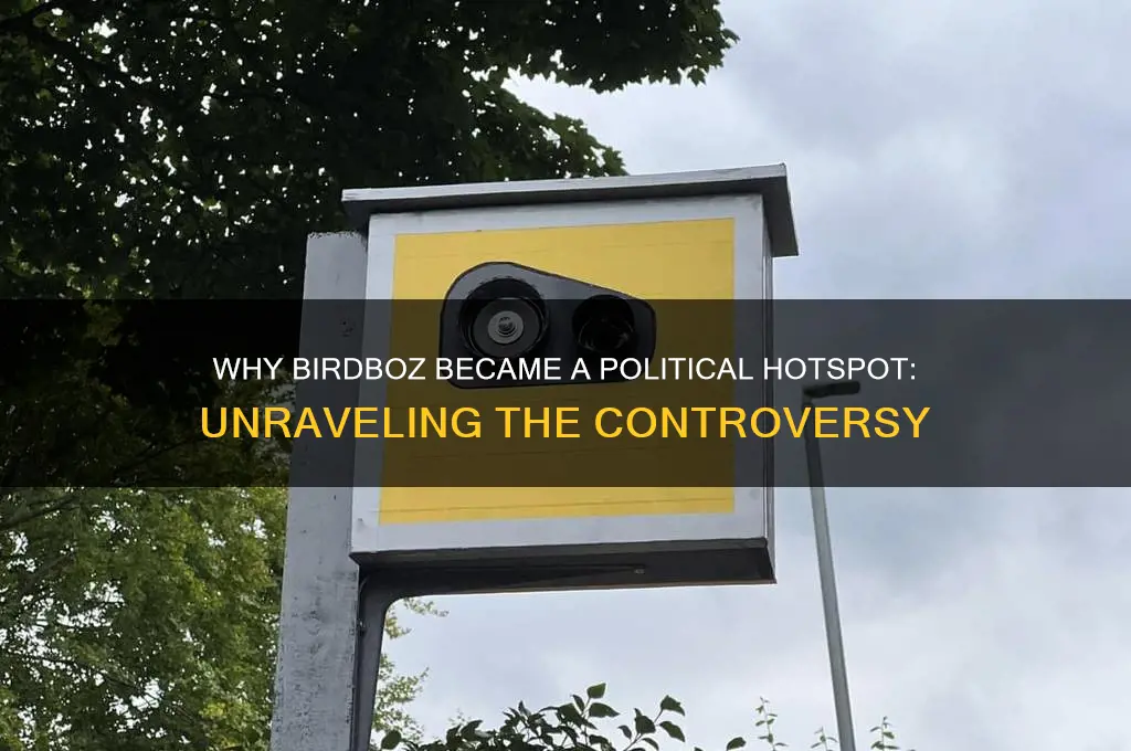why is birdboz so political