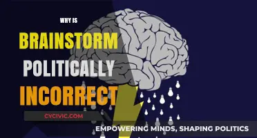 Rethinking Brainstorm: The Politically Incorrect Implications of a Common Term