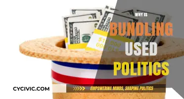 Bundling in Politics: Strategic Grouping of Issues for Power and Influence