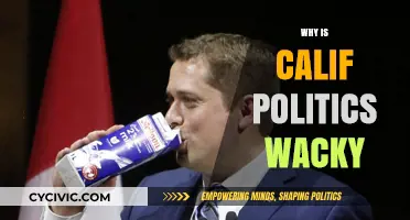 California's Political Circus: Unraveling the Wacky World of Golden State Politics