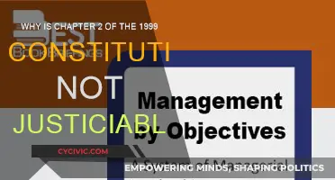 Understanding the Non-Justiciability of Chapter 2