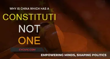 China's Constitution: A Contradiction in Action