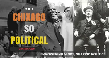 Chicago's Political Pulse: Unraveling the City's Deep-Rooted Civic Engagement