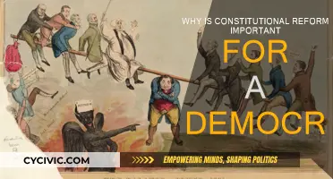 Constitutional Reform: Democracy's Lifeblood