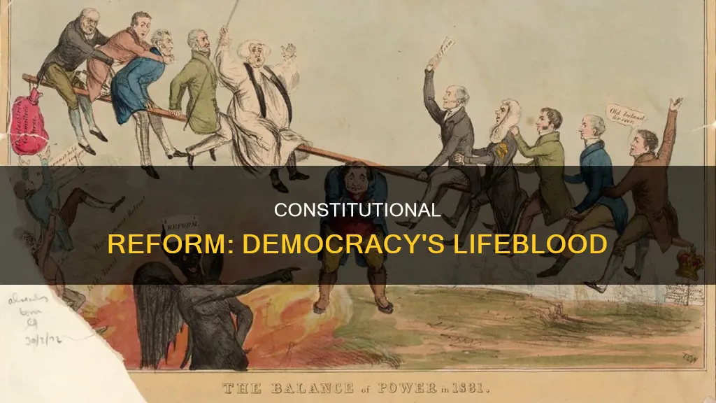 why is constitutional reform important for a democracy