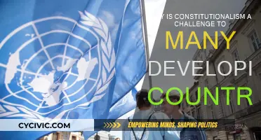 Developing Nations: Constitutionalism's Challenge