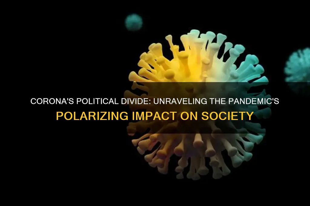 why is corona political