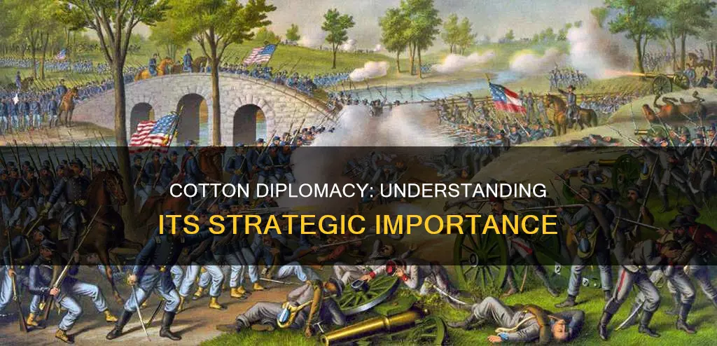 why is cotton diplomacy important