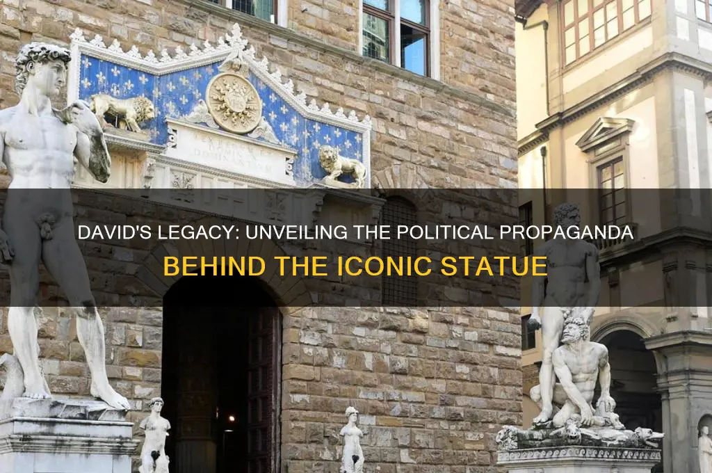 why is david political propaganda