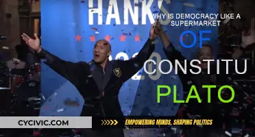 Democracy's Supermarket: Plato's Constitution Conundrum