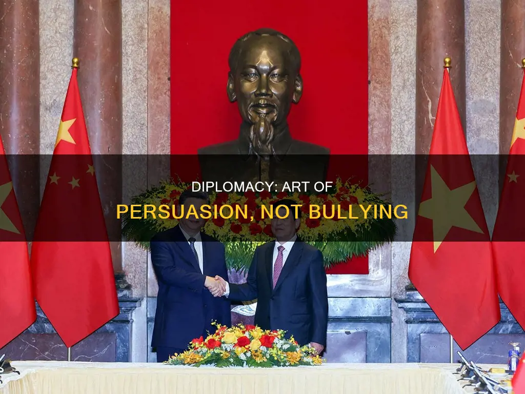 why is diplomacy not bullying