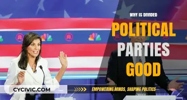 Divided Political Parties: Fostering Debate, Innovation, and Inclusive Governance