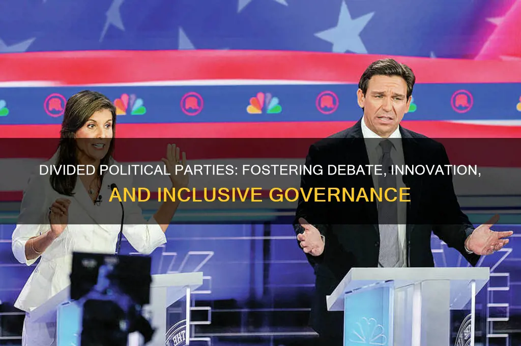 why is divided political parties good
