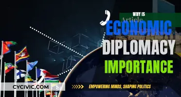Economic Diplomacy: A Nation's Power and Influence