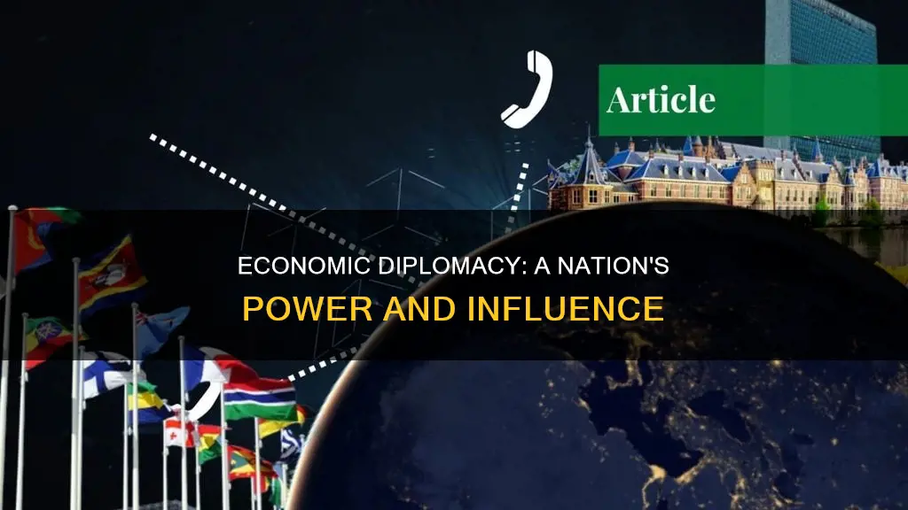 why is economic diplomacy importance