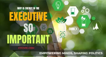 Energy in the Executive: Powering Performance and Productivity