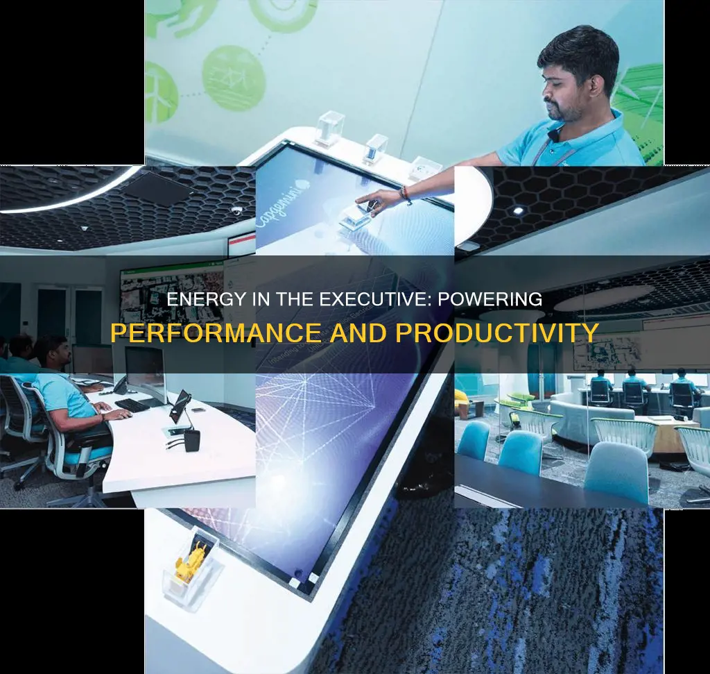 why is energy in the executive so important