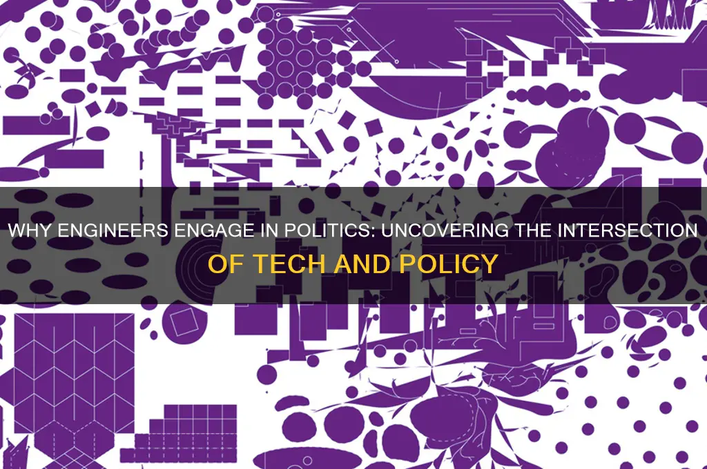 why is engineer political