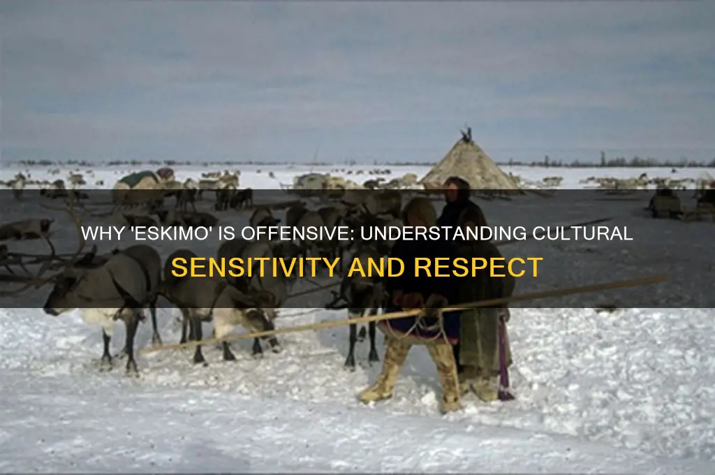 why is eskimo politically incorrect