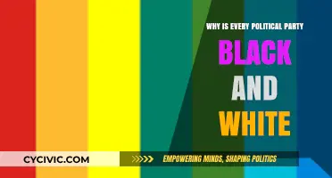 Beyond Black and White: Decoding Political Party Color Symbolism