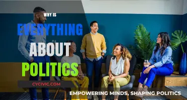 Why Politics Pervades Every Aspect of Modern Life Explained