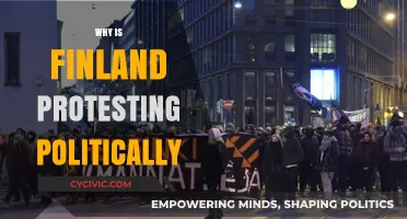 Finland's Political Unrest: Unraveling the Reasons Behind the Protests
