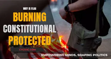 Flag Burning: Free Speech or Sacrilege?