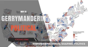 Gerrymandering's Political Power: How District Lines Shape Elections and Influence