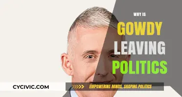 Trey Gowdy's Exit: Unraveling His Decision to Leave Politics
