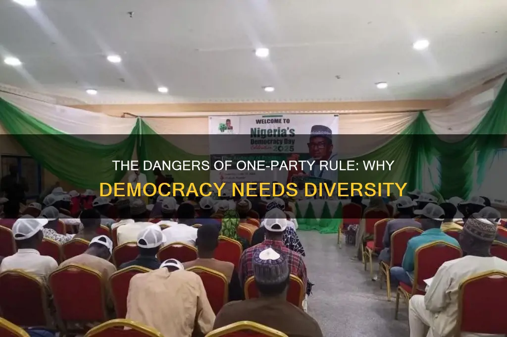 why is having one political party bad