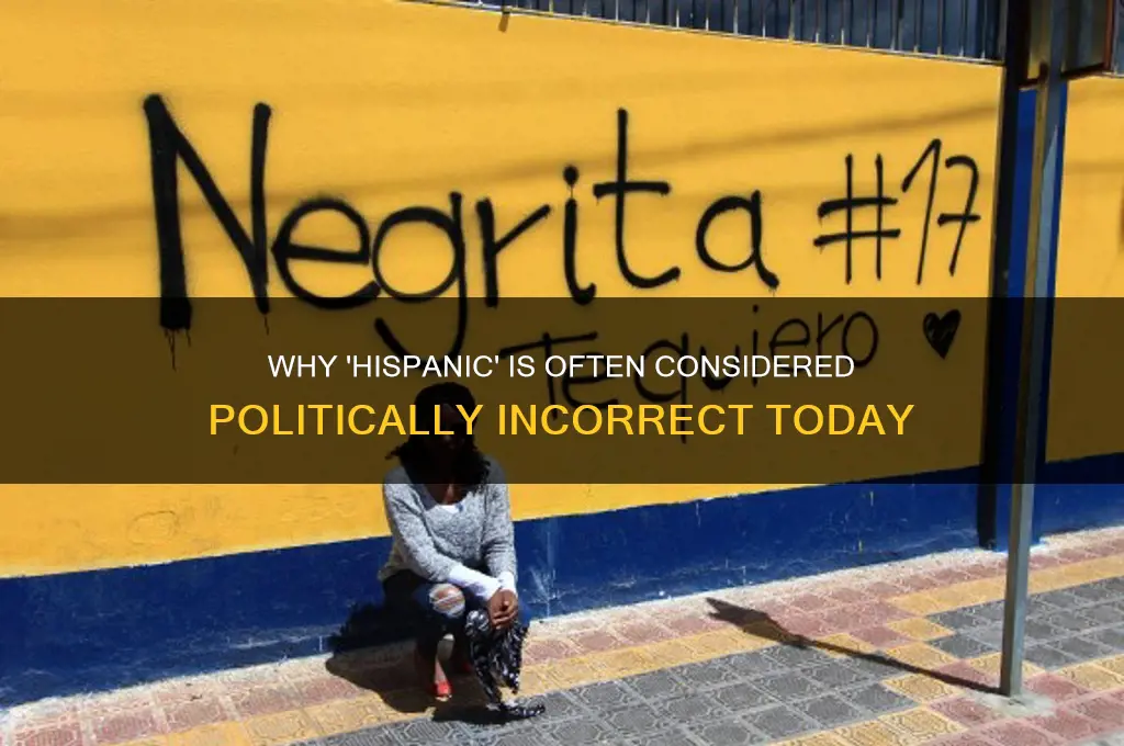 why is hispanic politically incorrect