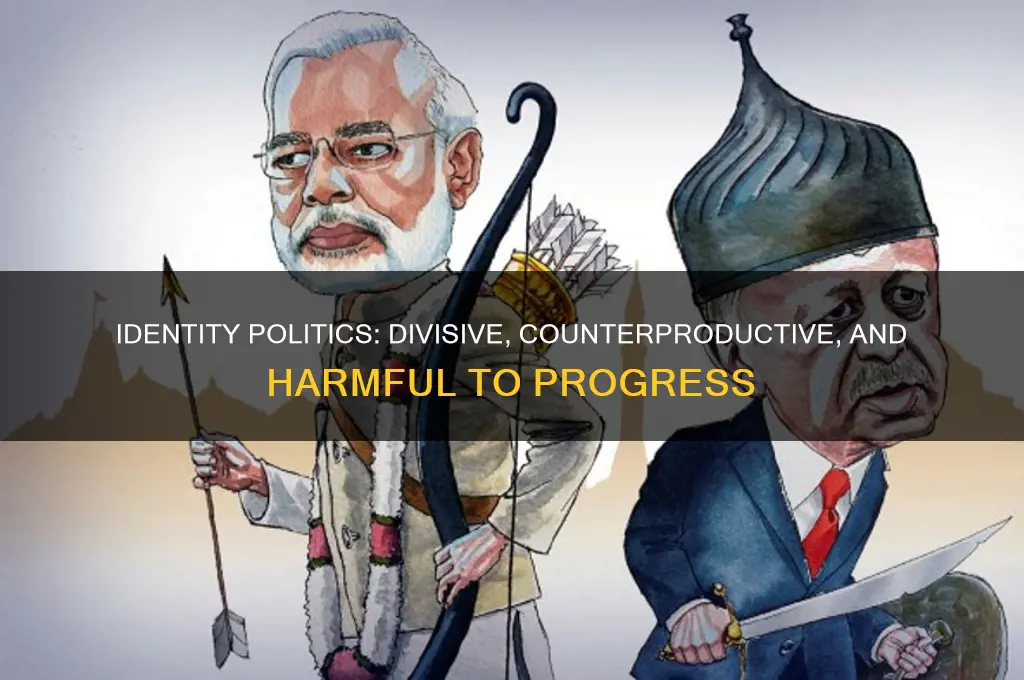 why is identity politics stupid