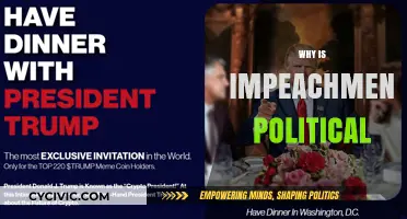 Impeachment's Political Nature: Power, Partisanship, and Constitutional Conflict Explained