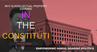 Constitution's Intellectual Property: Protecting Innovation and Creativity